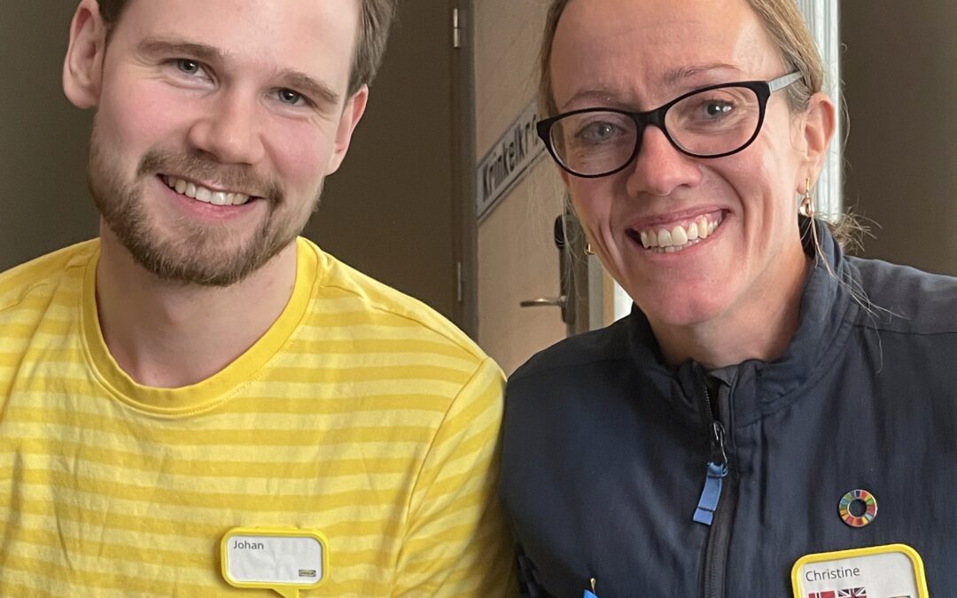 Ledelse som merkes i IKEA